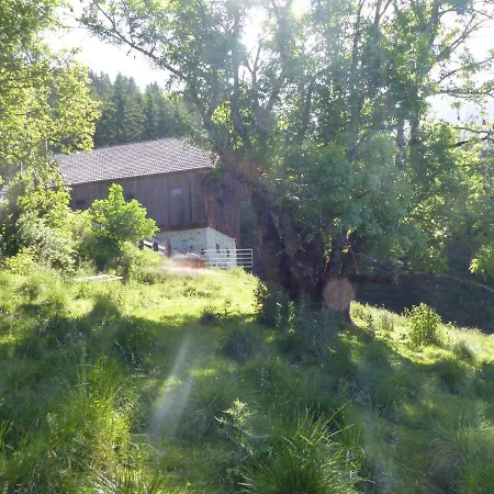 Wildhaberhutte Lodge